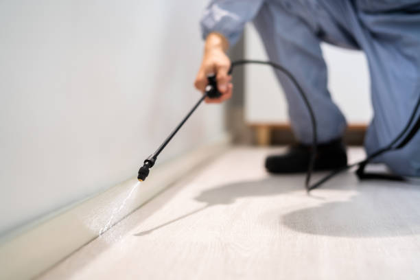 Licensed Pest Control service in Heber Springs, AR - Show Me Pest Control