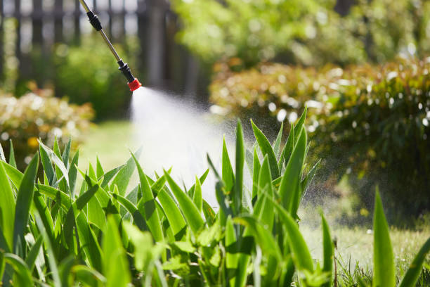 24/7 Emergency Mosquito Control experts in Heber Springs, AR