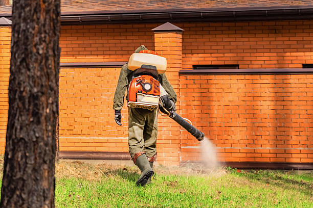 Top rated local Mosquito Control specialists in Heber Springs, AR
